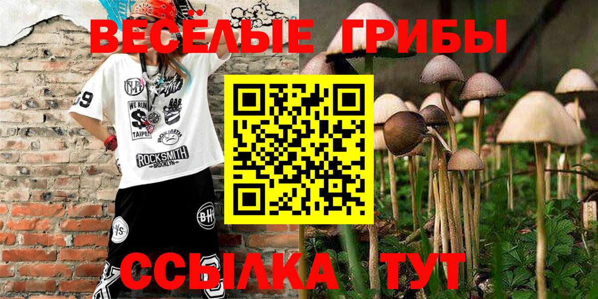 Галлюциногенные грибы Psilocybine cubensis  Вход с VPN  Краснокаменск 